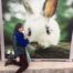 picture of me at rabbit island, japan