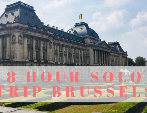 8 Hours Solo Trip in Brussels, Belgium