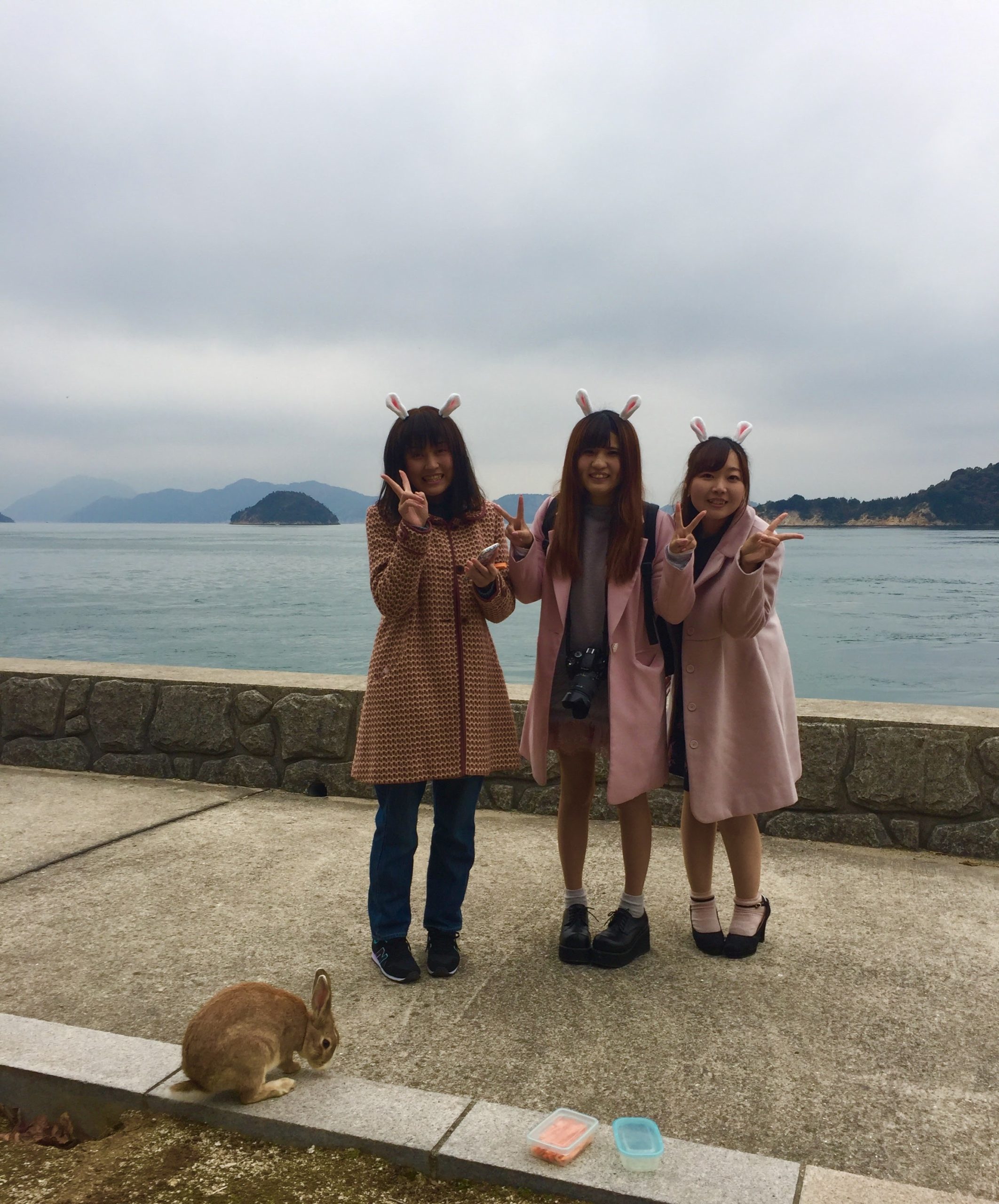 Okunoshima, Japan